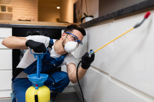 Best Rat Extermination Near Me  in Edwardsburg, MI