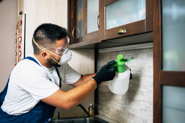Professional Pest Control in Edwardsburg, MI