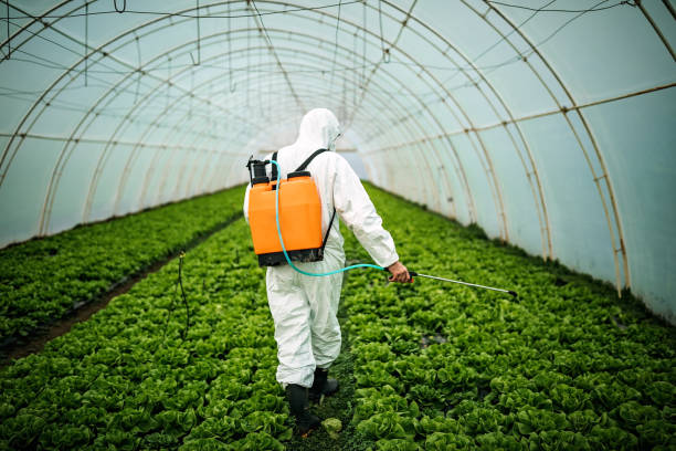 Best Affordable Pest Control Services  in Edwardsburg, MI