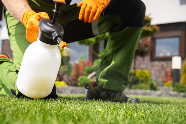 Best Ant Control Services  in Edwardsburg, MI