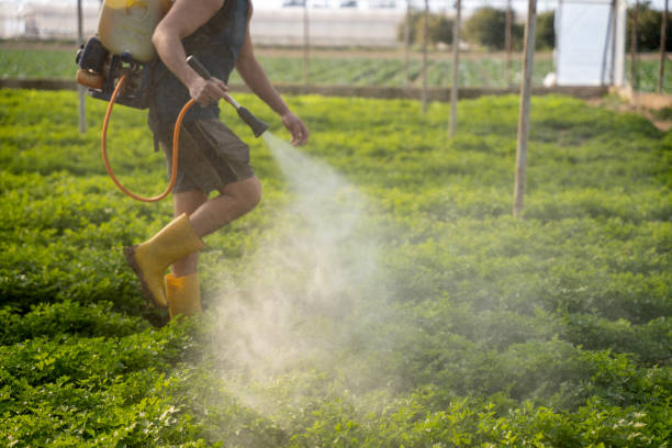 Best Exterminator Services  in Edwardsburg, MI