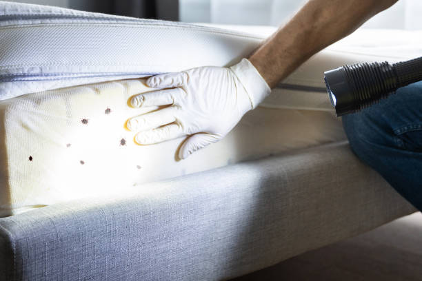 Best Pest Control Near Me in Edwardsburg, MI