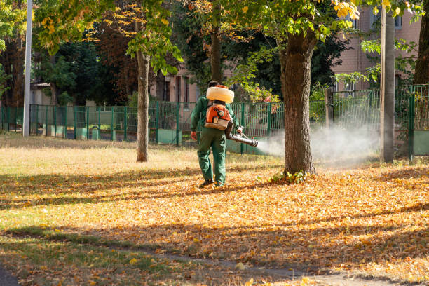 Best Insect Control  in Edwardsburg, MI