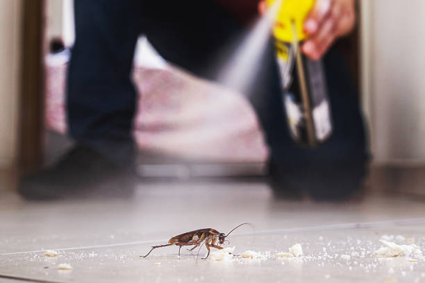 Best Termite Control Services  in Edwardsburg, MI